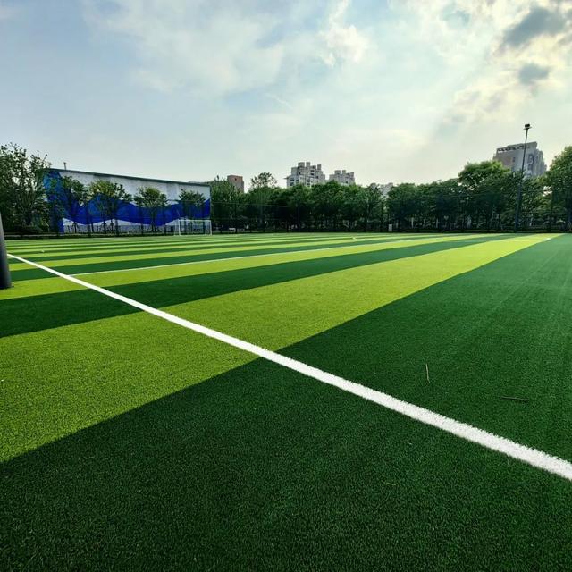 休闲,运动,观景……公园东路核心景观带亮相登场