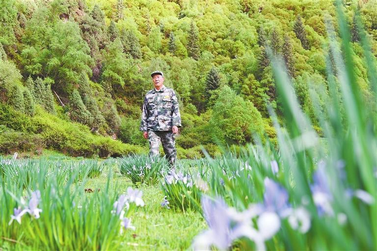 33年,守护万亩青绿——祁连山国家级自然保护区护林员李照玛的故事
