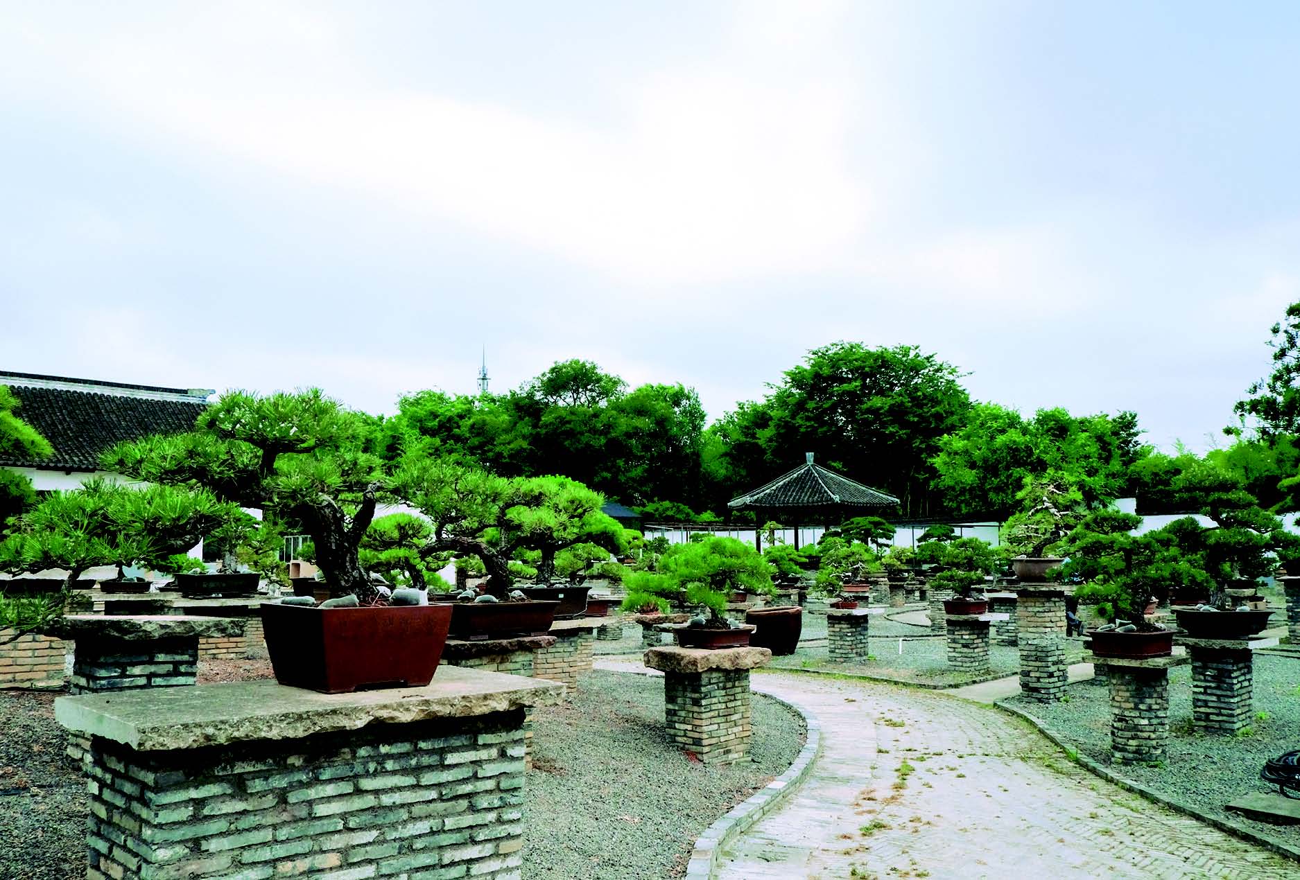 田园综合体主办的"2024清芳雅集"活动在位于泖港五厍的清芳园内举行