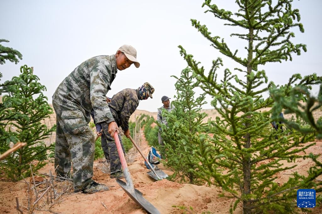 5月29日,工人在杭锦旗穿沙公路两侧植树造林.