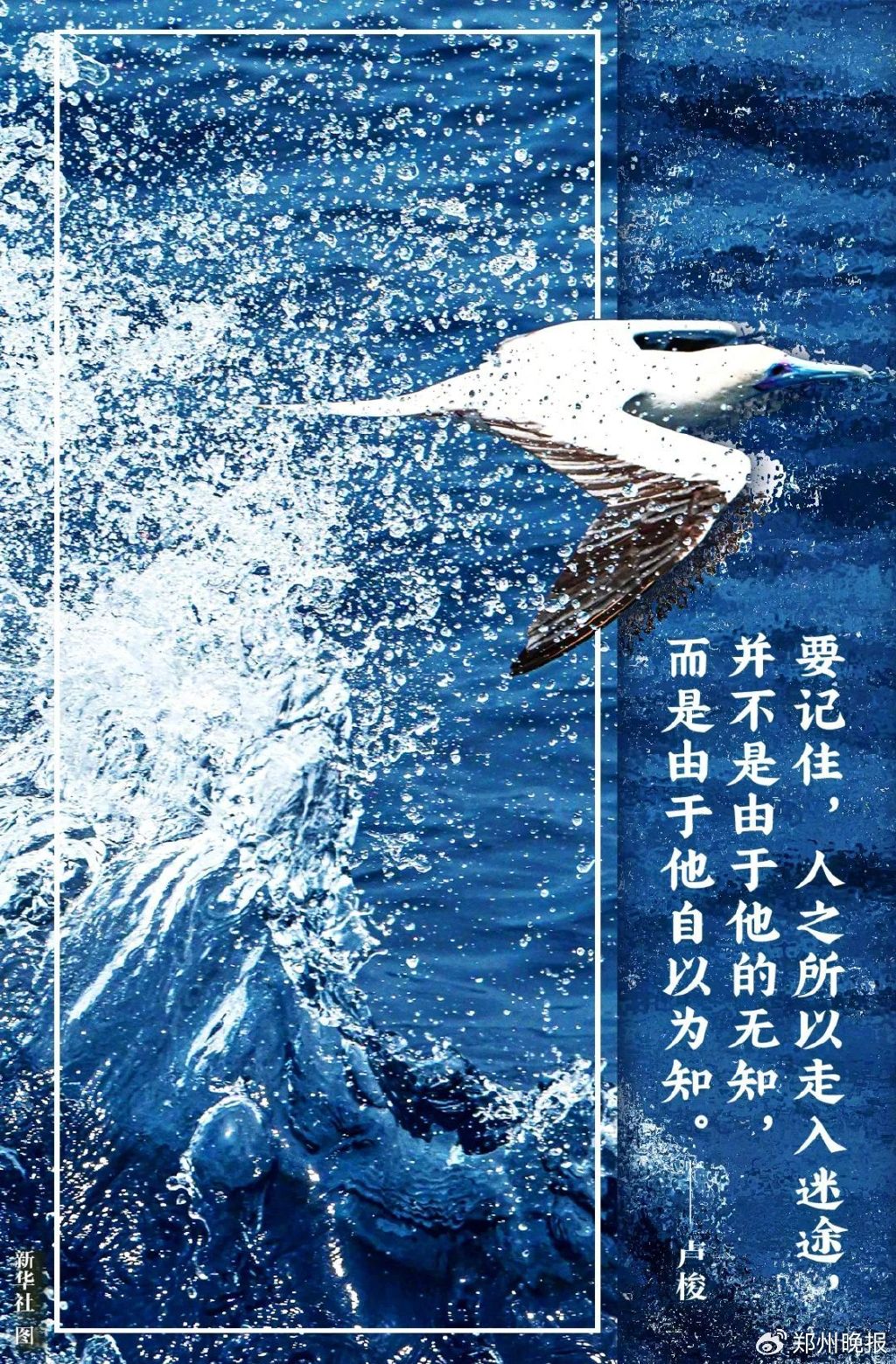 晚安郑州 | 河南电价调整!