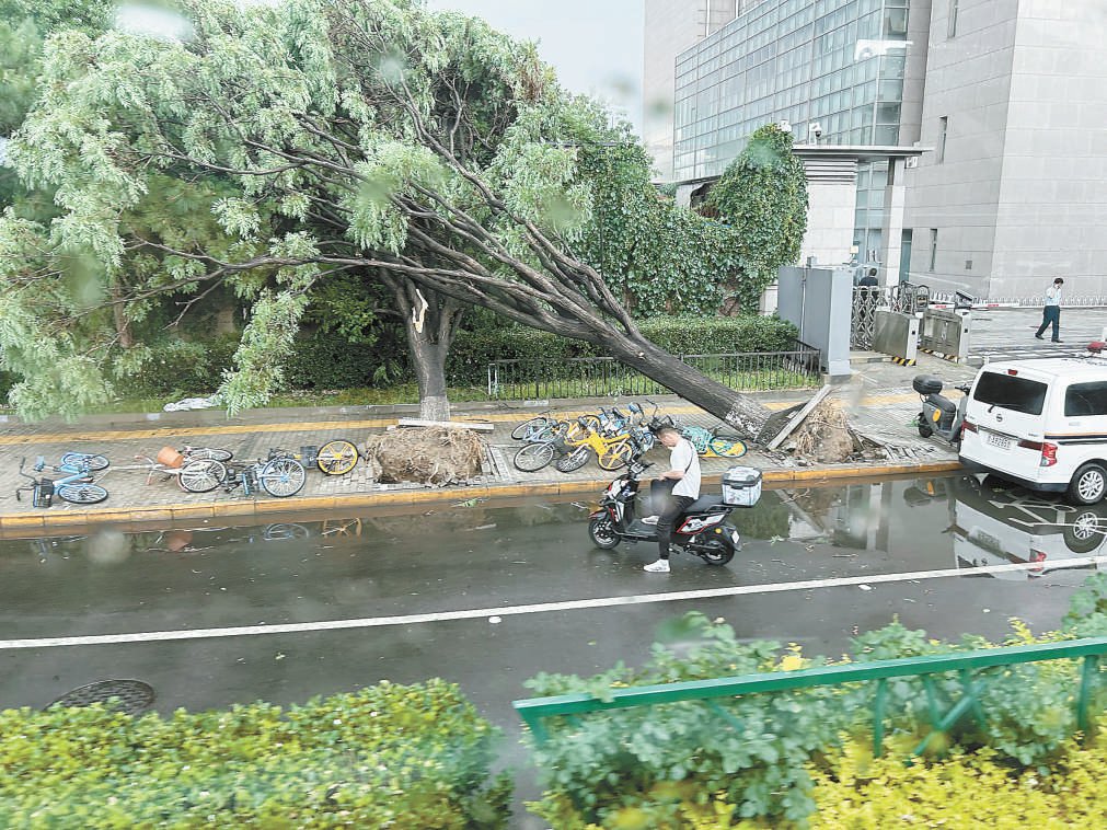 一阵疾风迅雨突袭,尽管持续时间短暂,但同时带来雷电,大风,冰雹天气