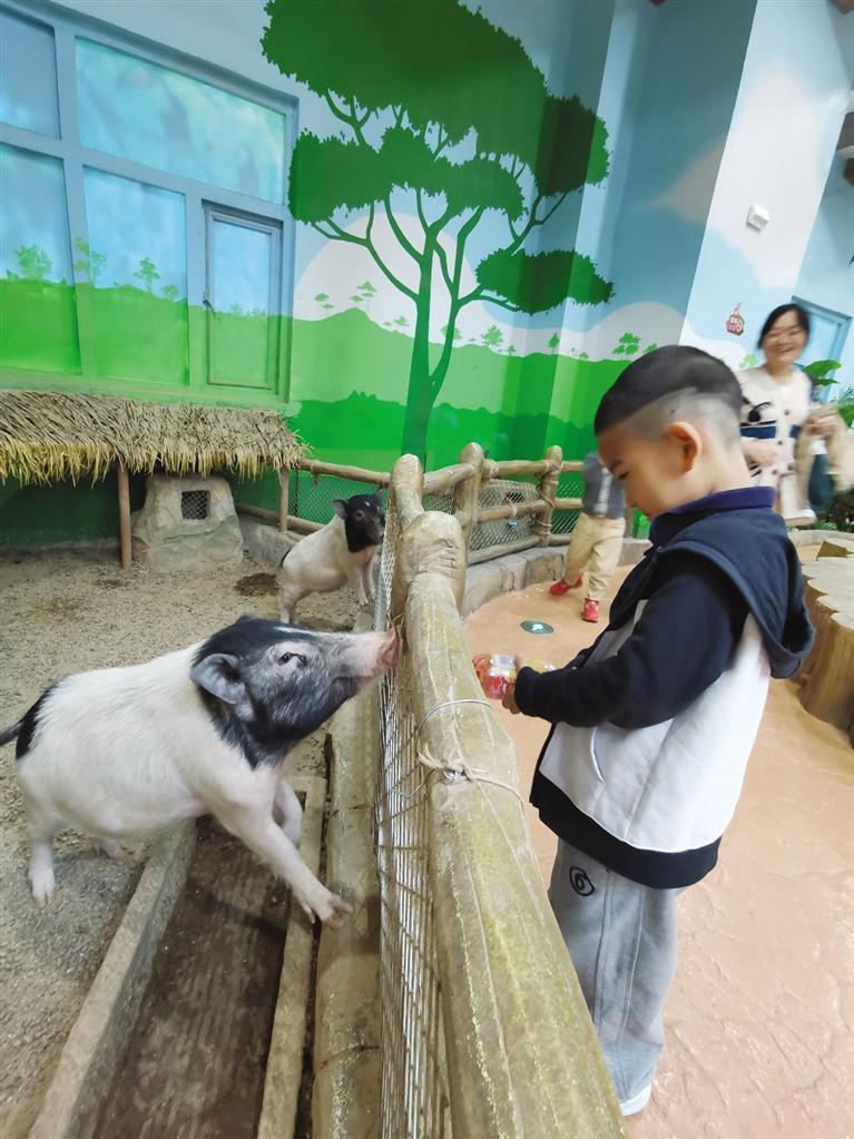 767_1023竖版 竖屏