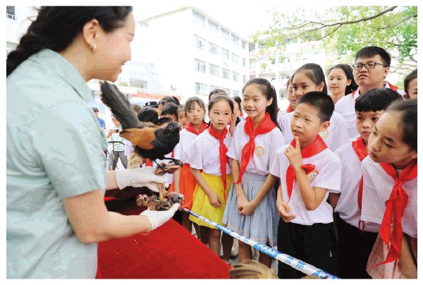 花坪自然保护区的工作人员向孩子们介绍动物标本.