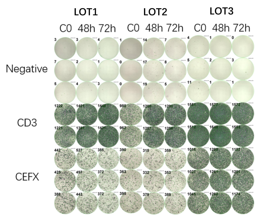 "昭衍临床检测"更新细胞免疫pbmc室温稳定性至72 h