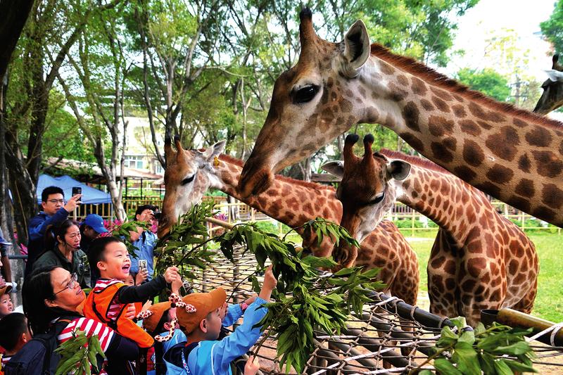 免门票送优惠  让孩子欢乐过"六一"