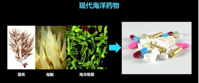 海什么止血新知｜文蛤海鞘竟是抗癌小能手？蓝色“药库”真神奇_https://www.jmylbn.com_新闻资讯_第2张