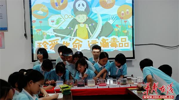 祁东县团委携手洪桥街道办联合洪桥第六小学开展"利剑护蕾"禁毒教育