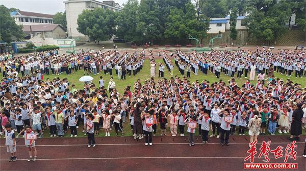 汉寿县太子庙学校举行防溺水签名活动