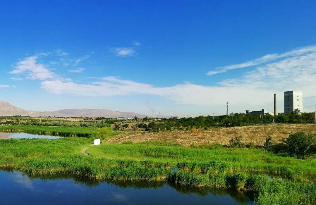 丰可蓄旱可调 宁夏石嘴山市惠农区发力水资源综合利用