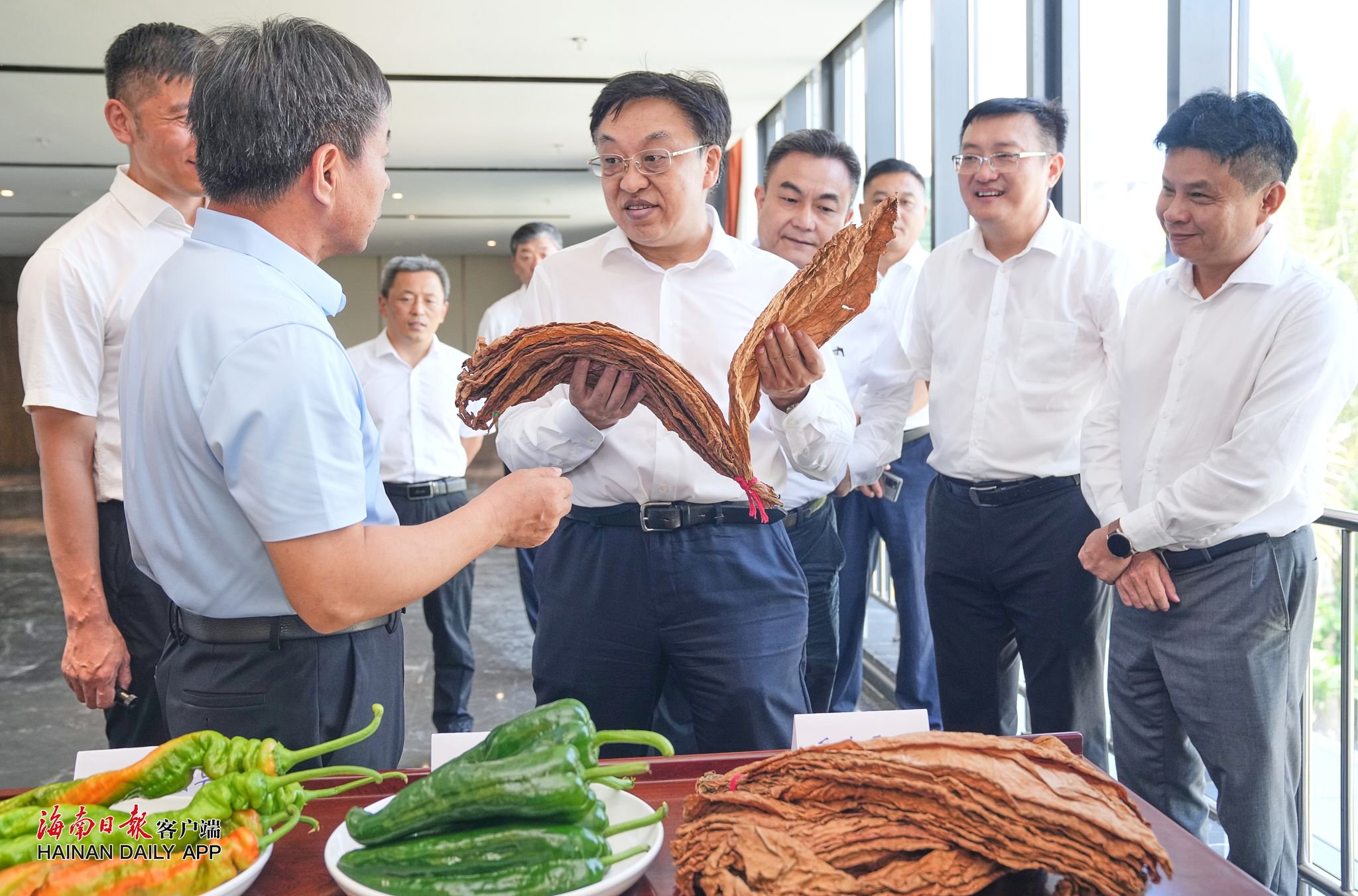 冯飞来到广西农业良种海南南繁育种基地,湖南省南繁科研育种园,中国