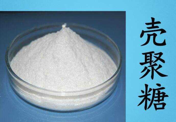 海什么止血新知｜文蛤海鞘竟是抗癌小能手？蓝色“药库”真神奇_https://www.jmylbn.com_新闻资讯_第7张