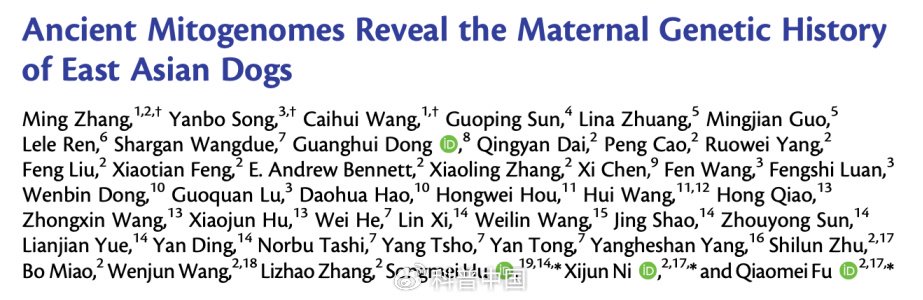 672024年4月9日,西北大学文化遗产学院张明课题组与合作团队发表了