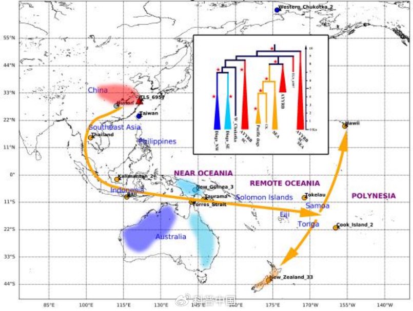 家犬来自哪里?科学家运用古dna技术找答案