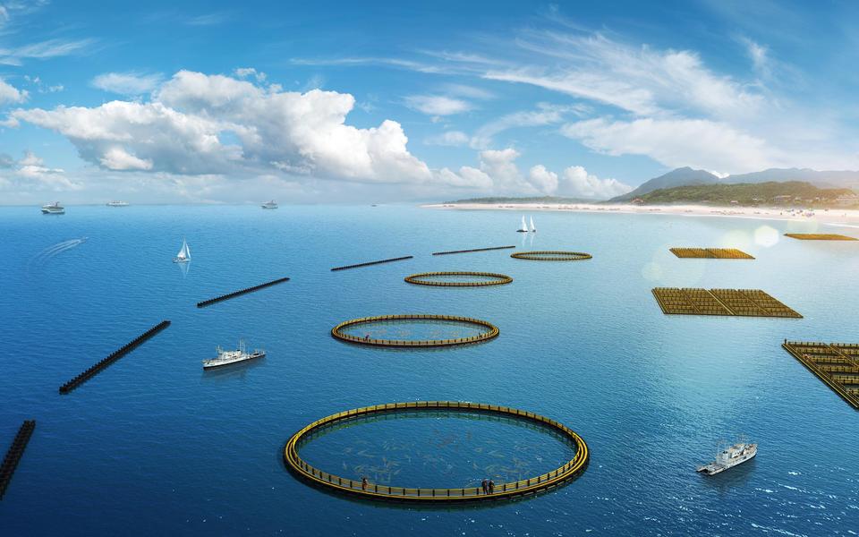 海什么止血新知｜文蛤海鞘竟是抗癌小能手？蓝色“药库”真神奇_https://www.jmylbn.com_新闻资讯_第12张