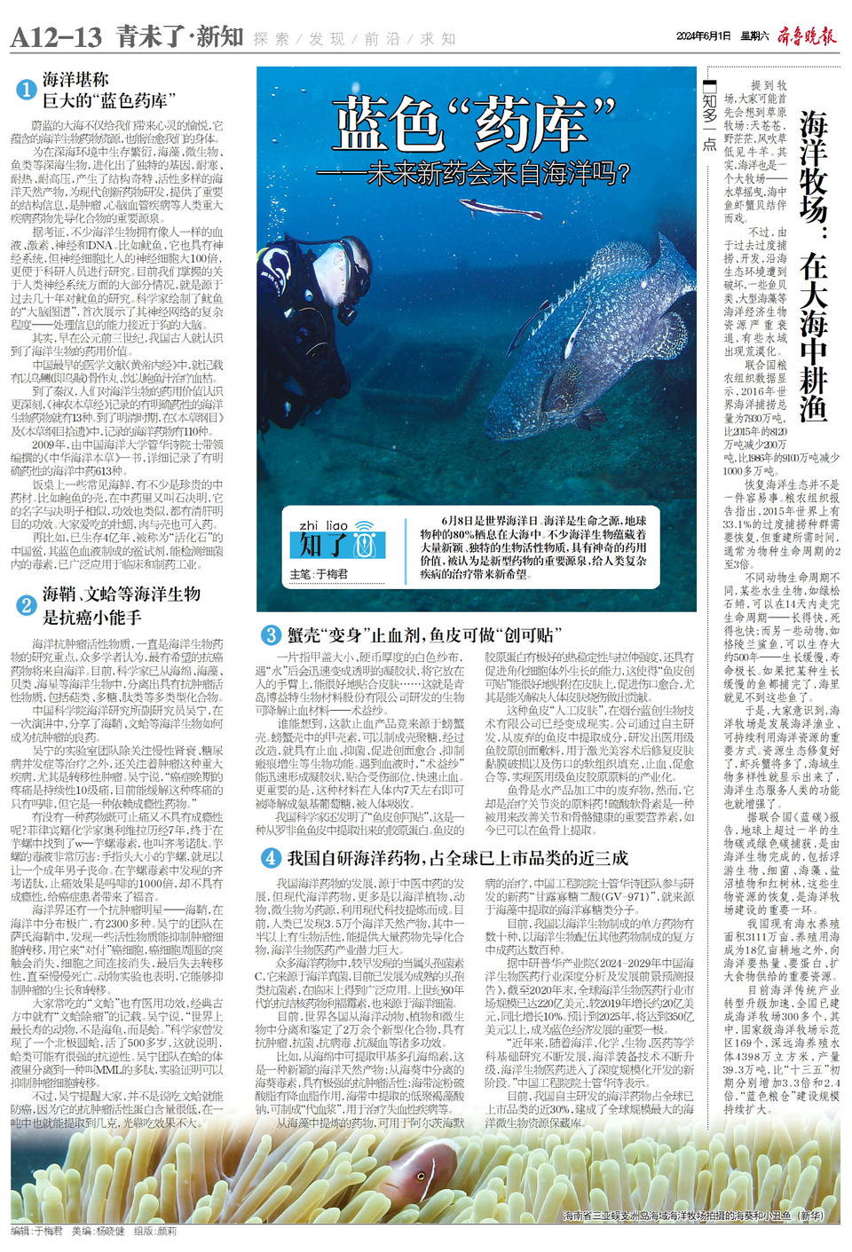 海什么止血新知｜文蛤海鞘竟是抗癌小能手？蓝色“药库”真神奇_https://www.jmylbn.com_新闻资讯_第1张