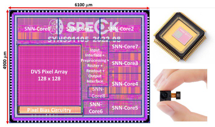图为类脑神经形态系统级芯片Speck（中国科学院自动化研究所供图）