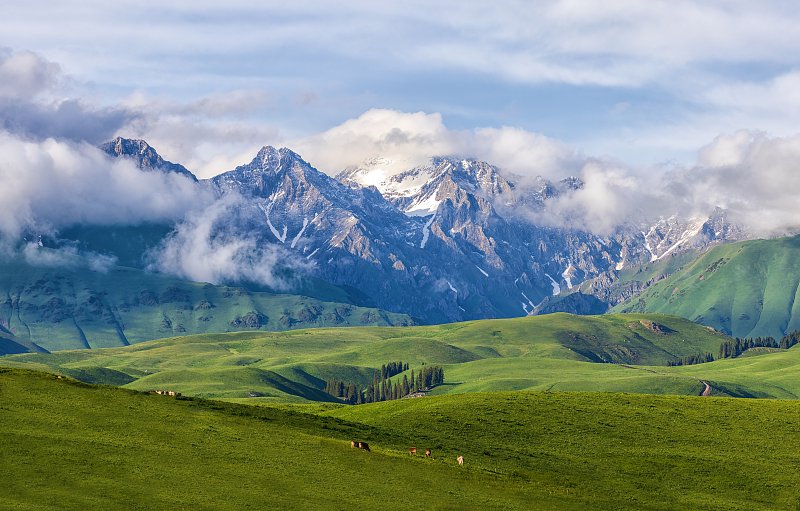 沿途美景一起来看|草原_新浪财经_新浪网