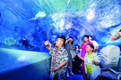 参加多彩活动 体验不一样的节日