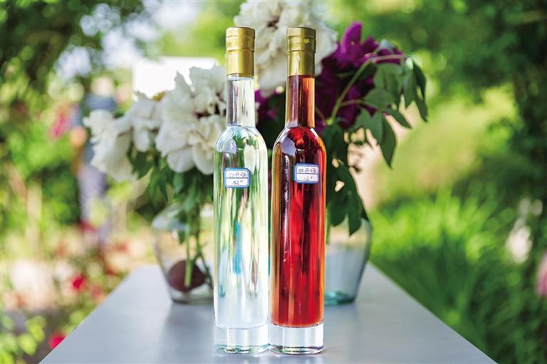 牡丹宴:舌尖上的"国色天香"