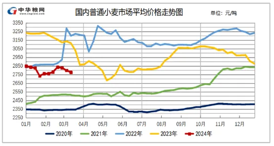 2024年新季小麦市场行情展望及操作策略