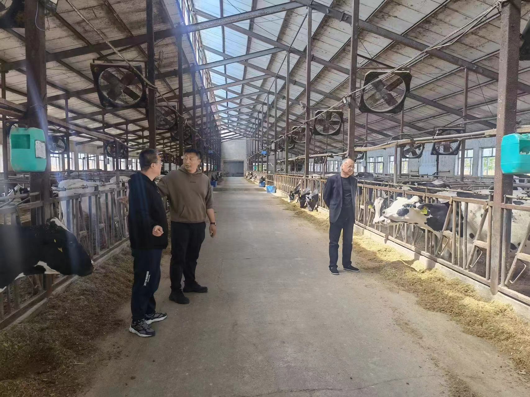 金融青年"多吃苦" 农民致富"多获得"