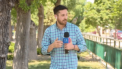 美女自拍时手机被鸟抢走!手机秒变飞机,还拍了视频