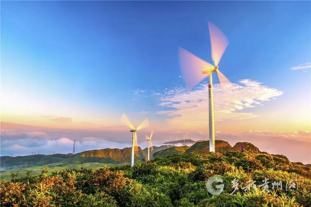 "最美凉都人"|贵州银行盘州支行刘洁:当好金融服务"摆渡人"