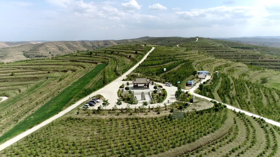 黄土地上的"友谊林"|福州市_新浪财经_新浪网