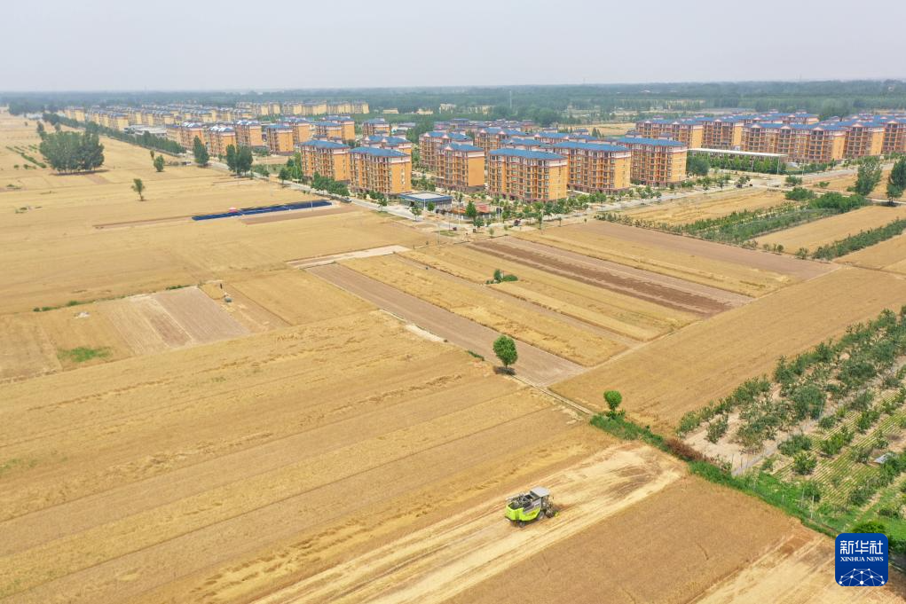 图片故事丨"00后"女机手——向下扎根 在乡村大地逐梦前行|河南省