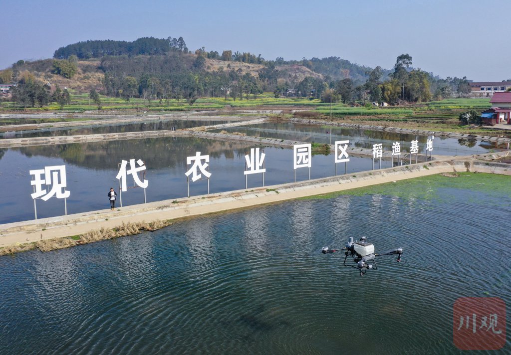 经济观察丨合作社 家庭农场:四川农业现代化的主力军