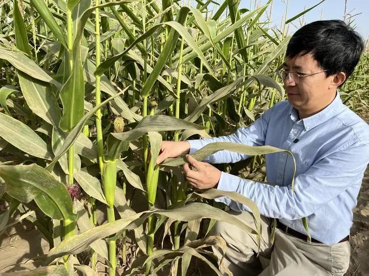 而朱洪德这么执着找胡树文,正是因为当年亲眼在白城大安市见识了