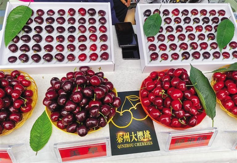 天水秦州大樱桃产销对接活动启幕