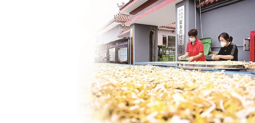 赋能乡村振兴"科技小院"作用大