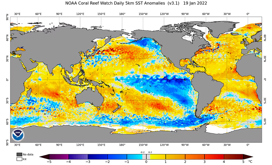 到2021年12月,太平洋中部/中东部赤道带的水域温度明显低于正常水平.