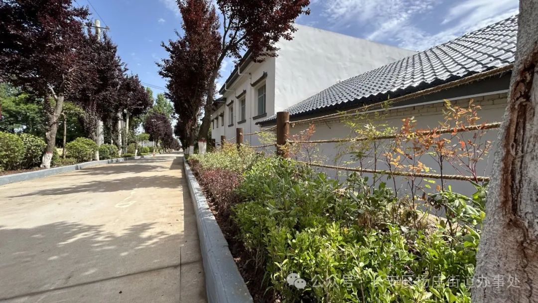 长安区杨庄街道李魏村:"千万工程"经验引领乡村"蝶变"