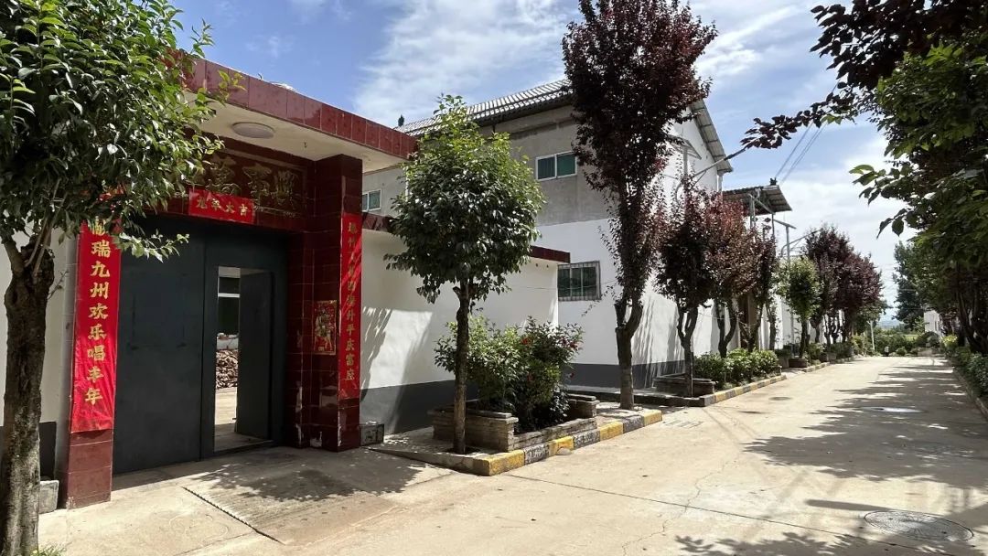 长安区杨庄街道李魏村:"千万工程"经验引领乡村"蝶变"