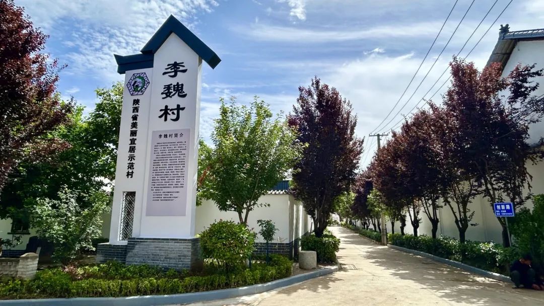 长安区杨庄街道李魏村:"千万工程"经验引领乡村"蝶变"