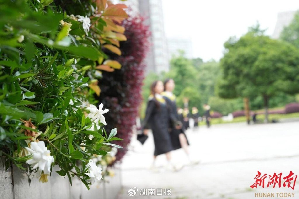 节气湖南·物候|芒种:接收来自大自然的夏日贺卡