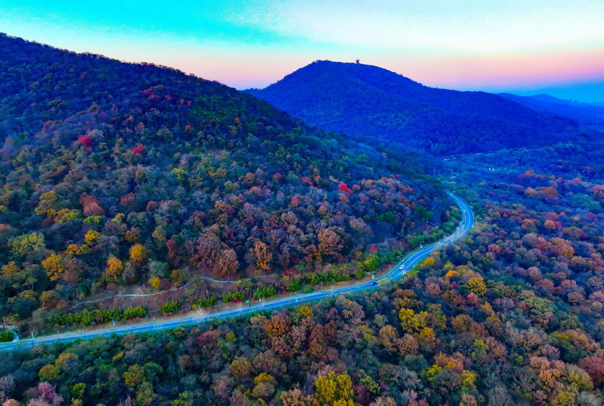 江苏南京:擦亮"生态底色",提升"发展成色"