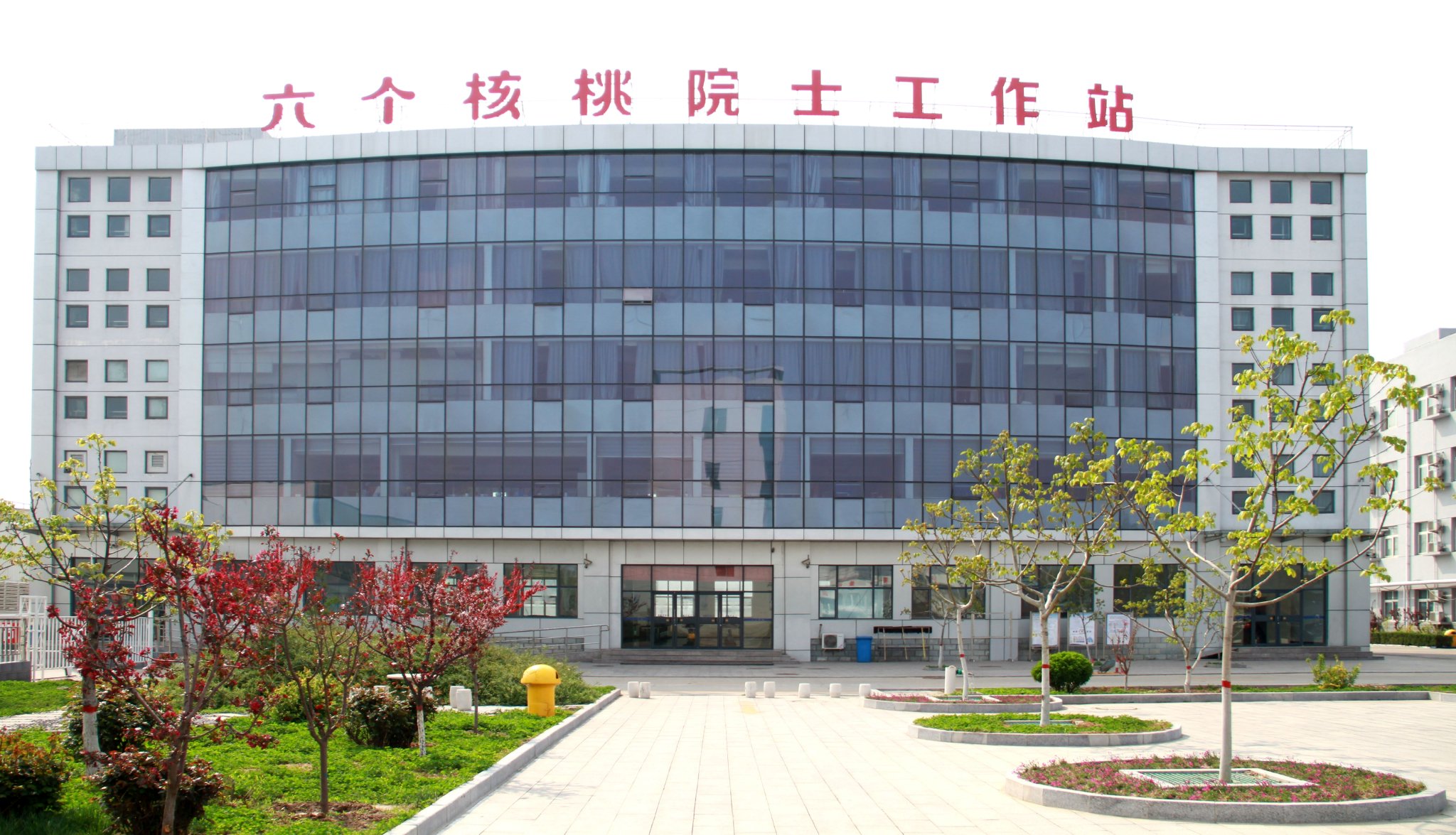 践行"绿色食物观",养元六个核桃擦亮高质量发展底色