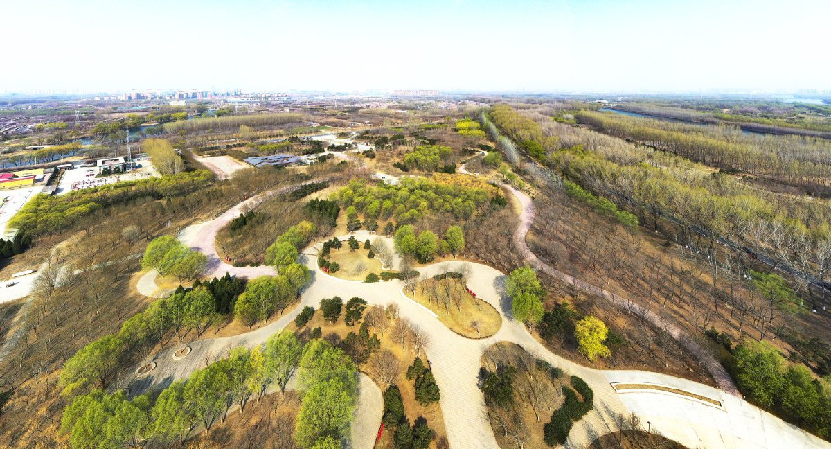 潞城中路沿线的景观还有很多,比如新礼公园,其以礼乐文化为设计理念