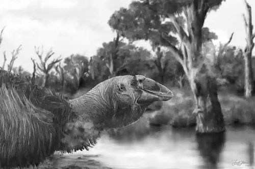 史前雷鸟实为"大鹅"