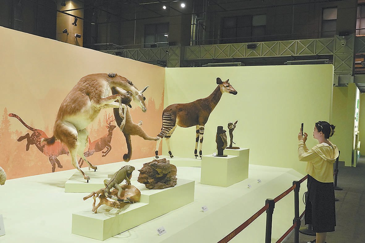 本报记者 程功摄本报讯(记者 牛伟坤)今天,国家自然博物馆迎来揭牌一