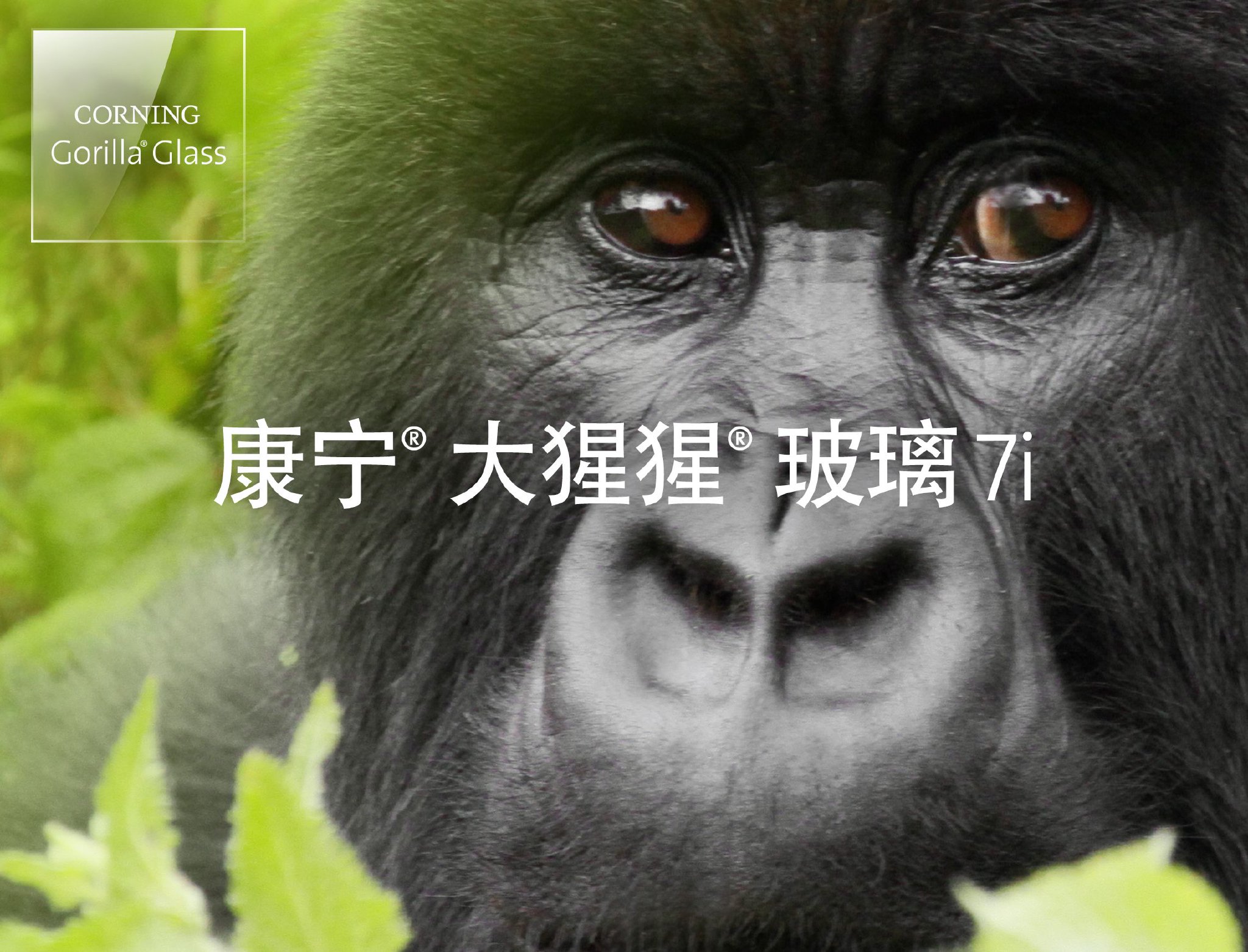 大猩猩玻璃7i以合理的价格为高性价比和中端设备提供优异的坚韧性能