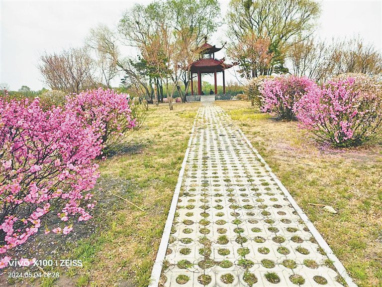 水师森林公园走笔