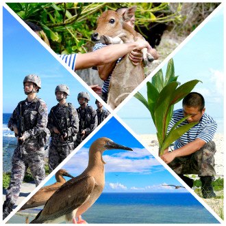 在西沙群岛书写绿色答卷