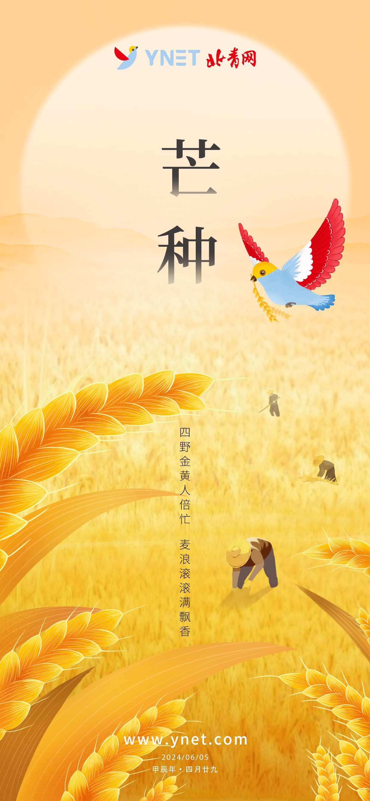 北青网今日推出"芒种"节气海报