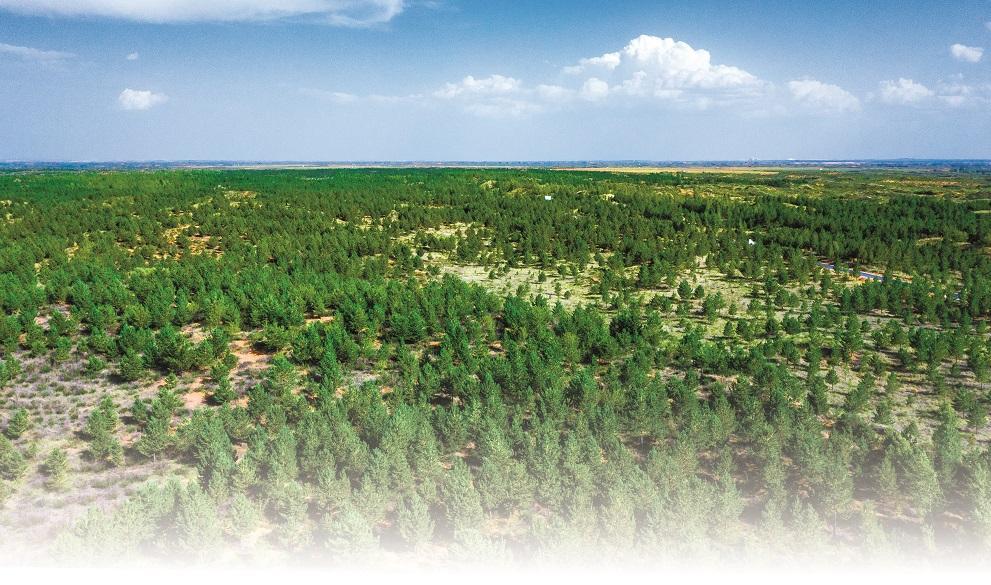 省防护林建设工作站供图荒漠化是全球共同面临的严峻挑战.