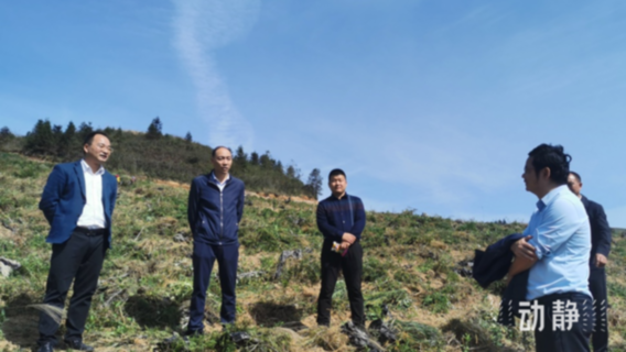 那一年,金丰村利用冬闲田土制种300亩优质杂交油菜,产量达5万多斤